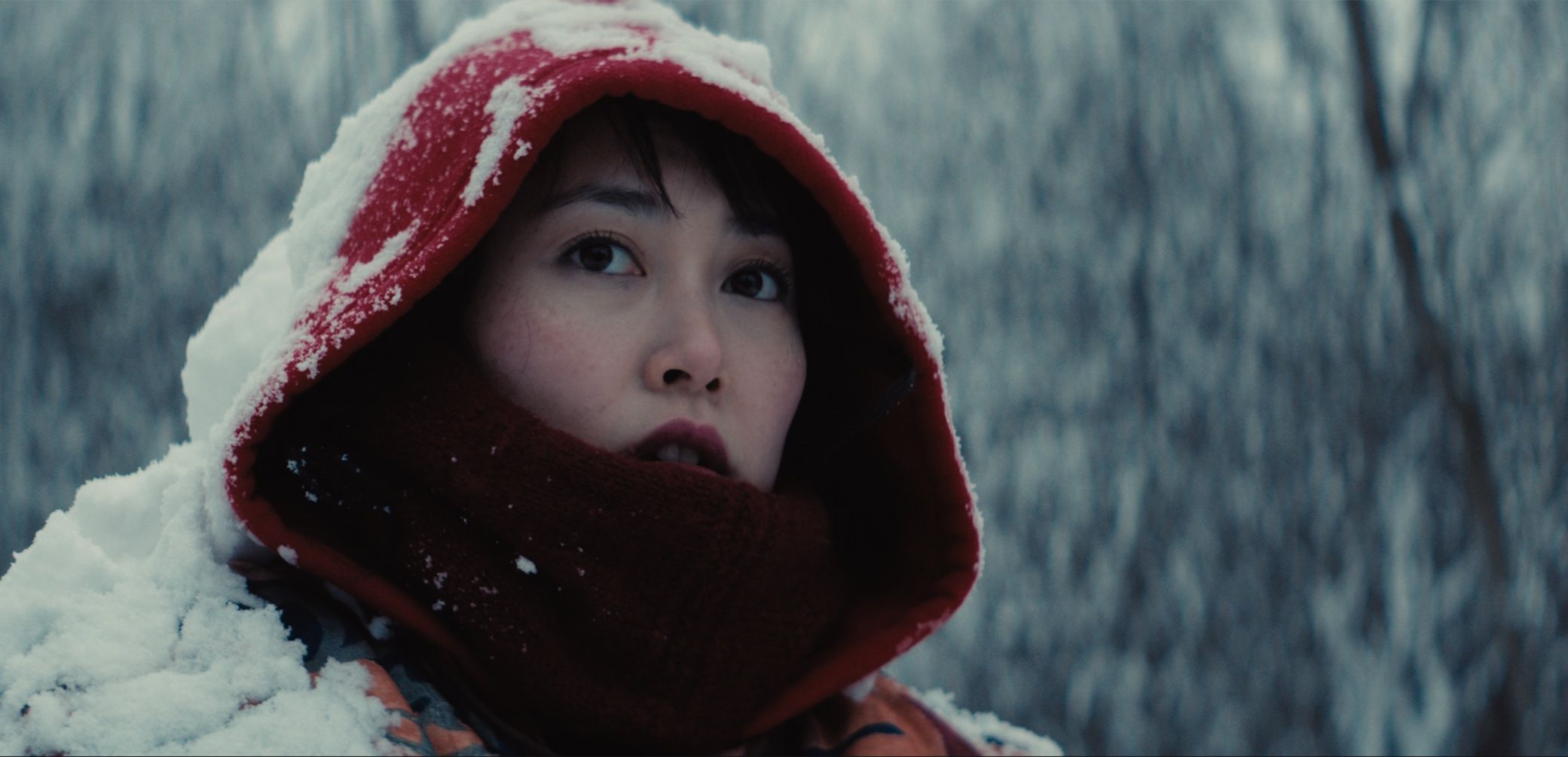 Kumiko, the Treasure Hunter Interview: The Zellner Brothers