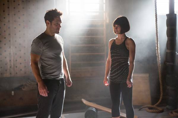 ant-man-and-the-wasp-paul-rudd-evangeline-lilly