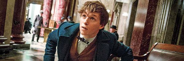 New Fantastic Beasts and Where to Find Them Image Revealed