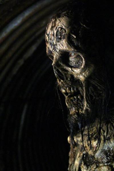 The Walking Dead Recap: Now - Writing on the Wall