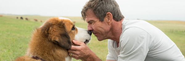 A Dog's Purpose | Collider