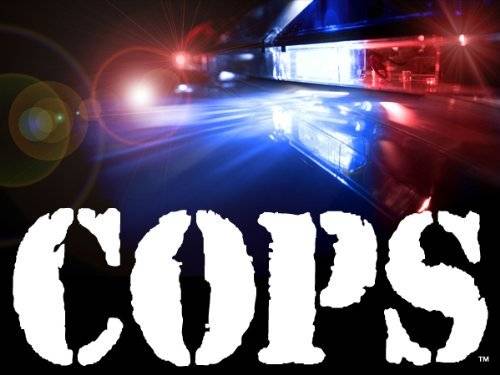 Cops Movie Set with Zombieland Director Ruben Fleischer