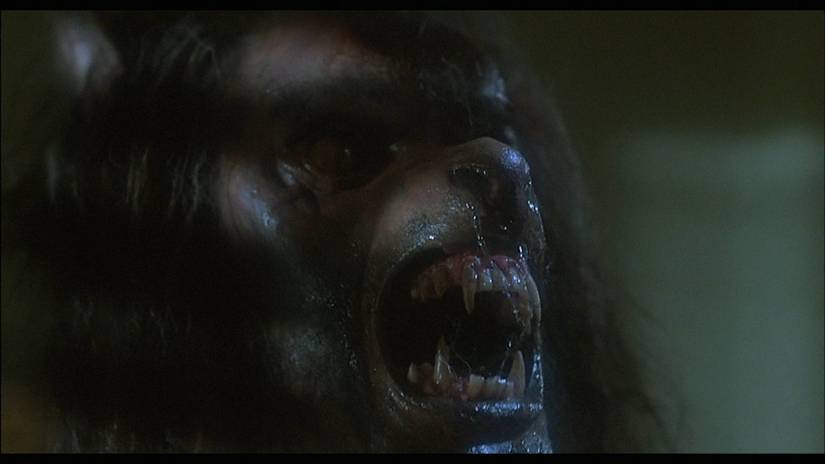 the-howling-image