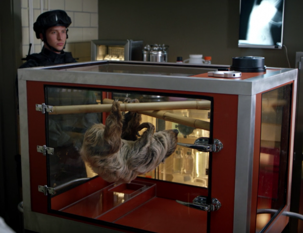 CBS' Zoo Explained: 8 Reasons to Watch This Summer Series