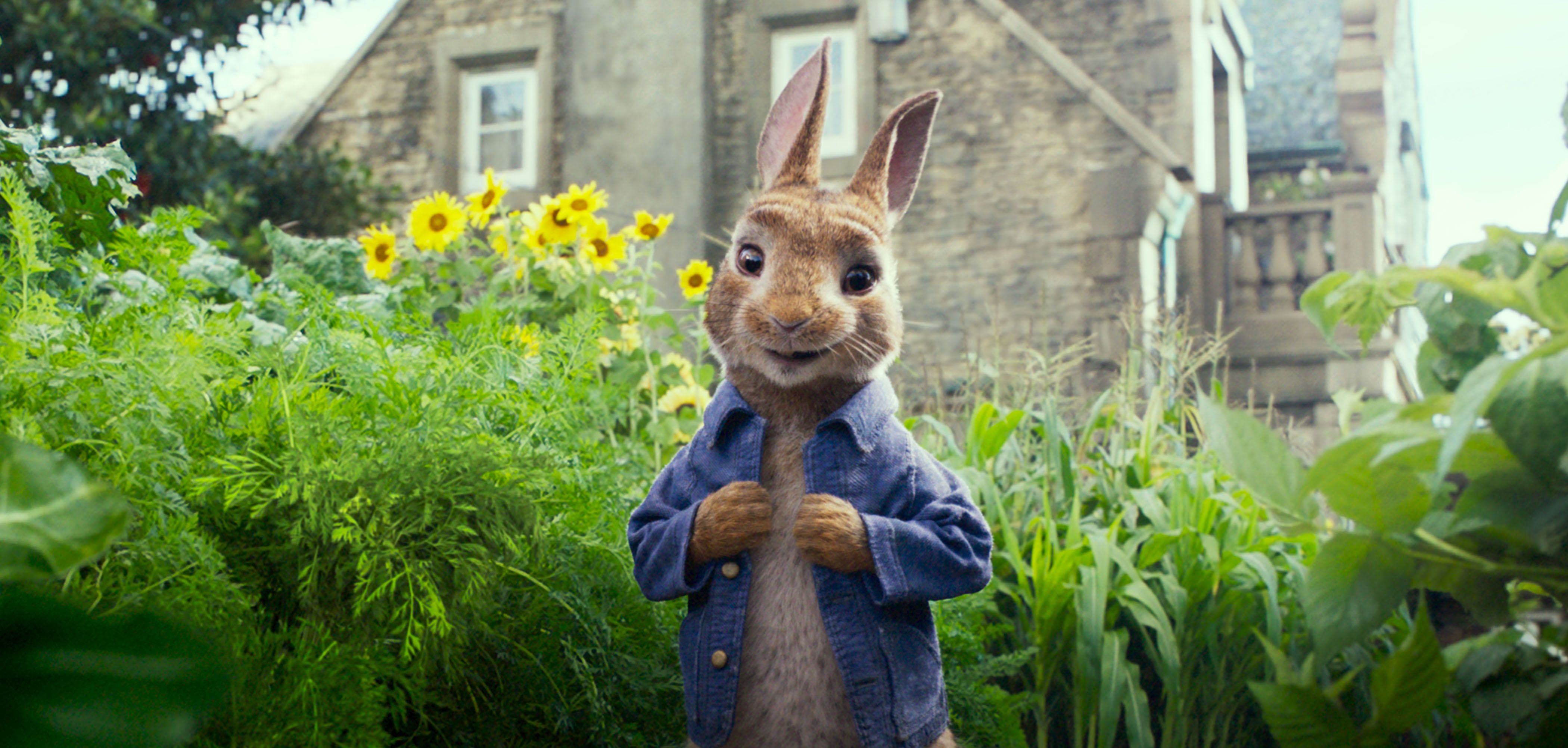 Peter Rabbit Review Being Cool Rather Than Charming.