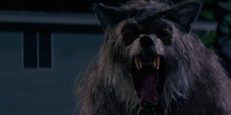 Werewolf Chartúin Scary