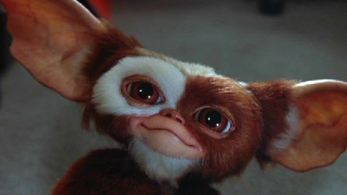 This 86% Rotten Tomatoes Cute, Cuddly, and Chaotic Horror Feature Is ...