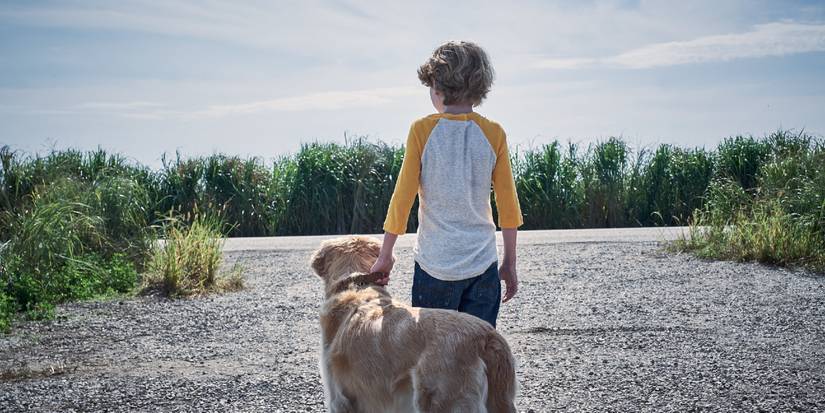 Rear shot of Will Bieu Jr and a dog looking towards tall grass from In the Tall Grass