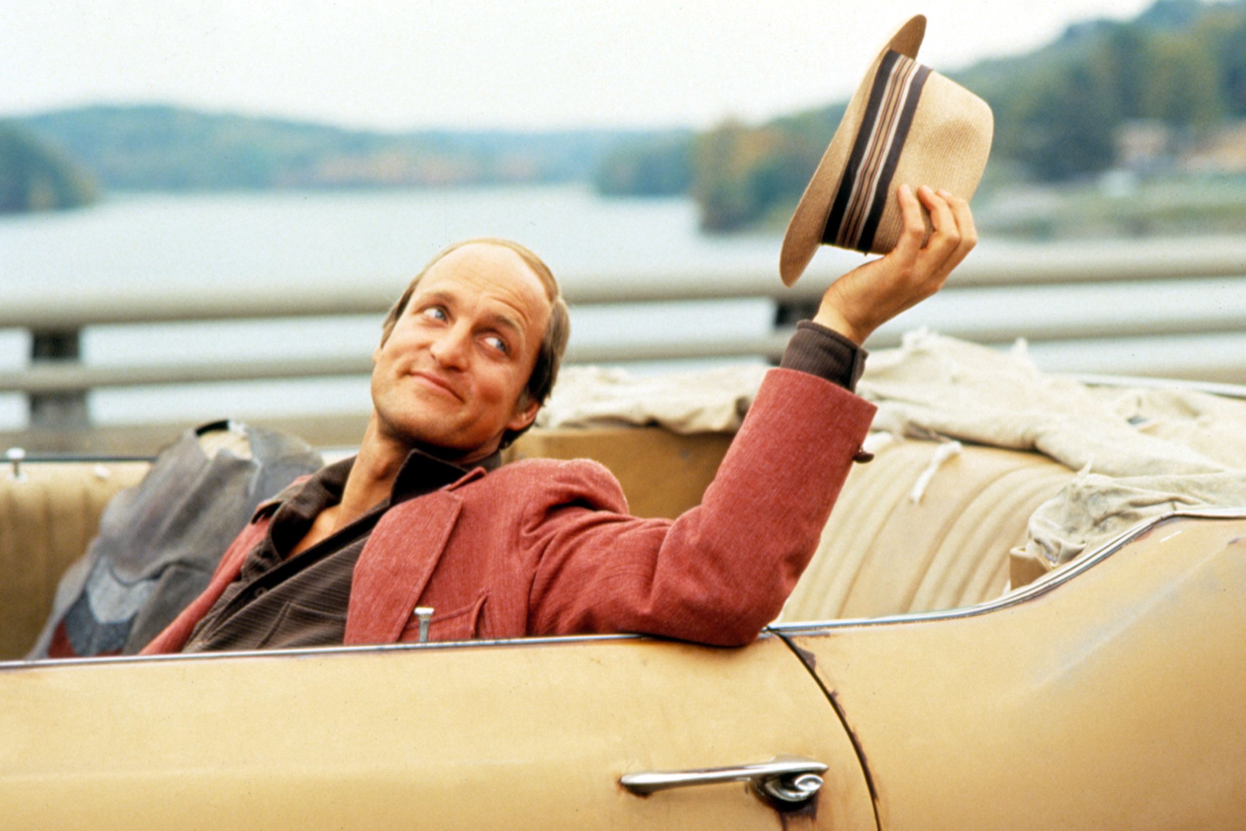 This Forgotten Farrelly Brothers Movie Starring Bill Murray Has a New  Streaming Home, image size:1264x844