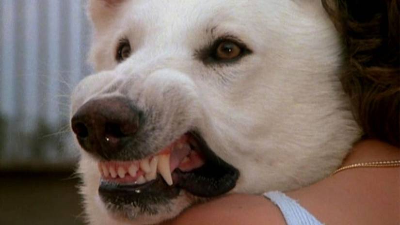 This “Racist” Anti-Racist Film Is One of the Most Banned Movies Ever
