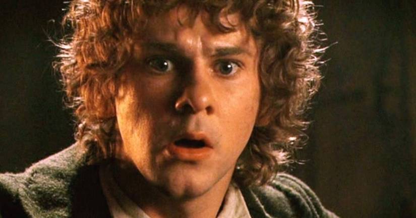 Lord of the Rings: Every Member of the Fellowship Sorted into Their ...