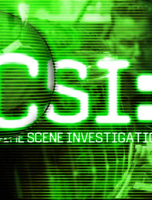 Loop Csi Marg Helgenberger Was the Best Part of 'CSI'