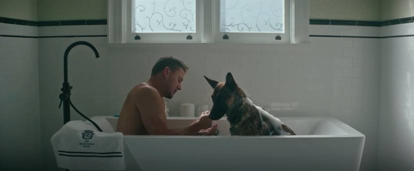 Briggs and Lulu the Malinois dog sit together in a bathtub full of bubbles