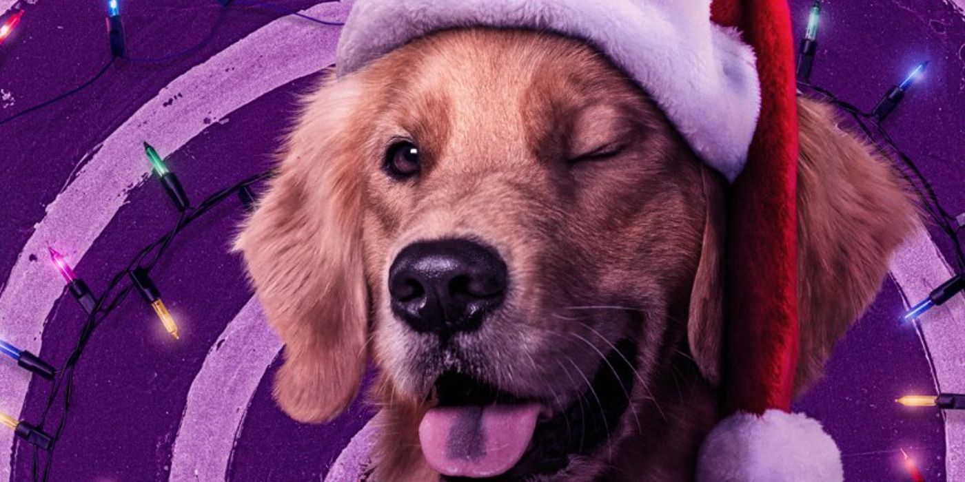 hawkeye-poster-lucky-pizza-dog