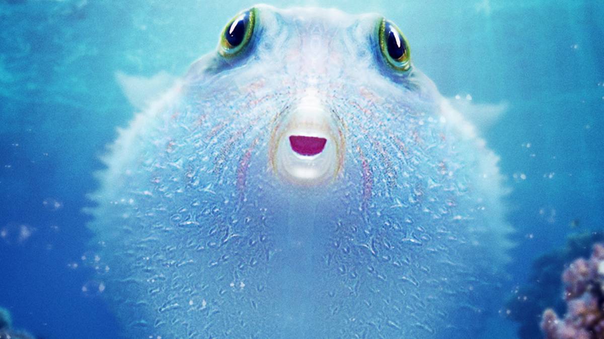 Puff: Wonders of the Reef Trailer Shows a Tiny Fish on a Magical Journey