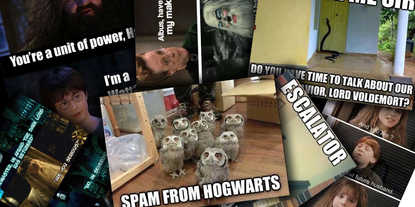 Best Harry Potter Memes to Give You Some Magical Laughs, image size:1400x700