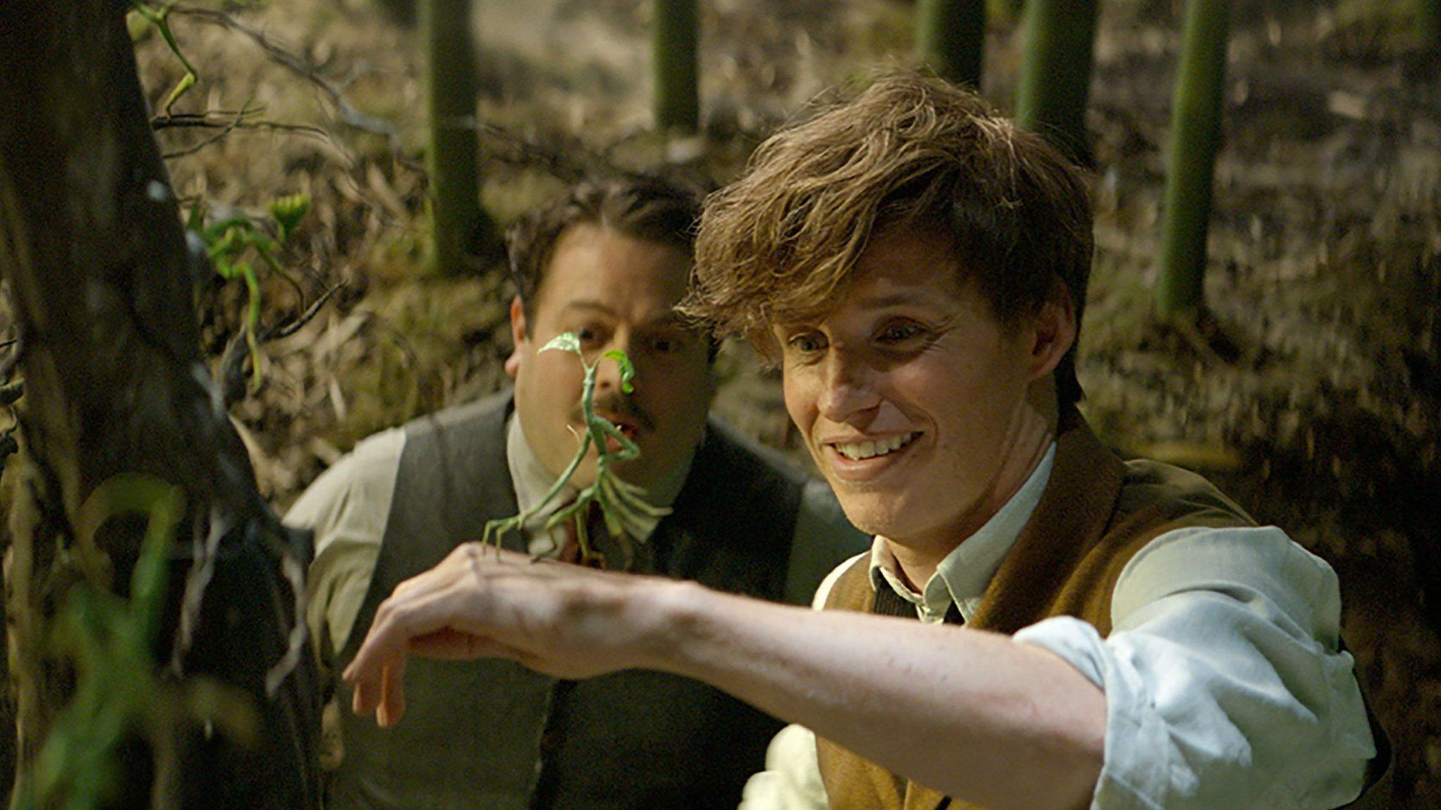 New Harry Potter Book Officially Confirmed for 2027 Release image