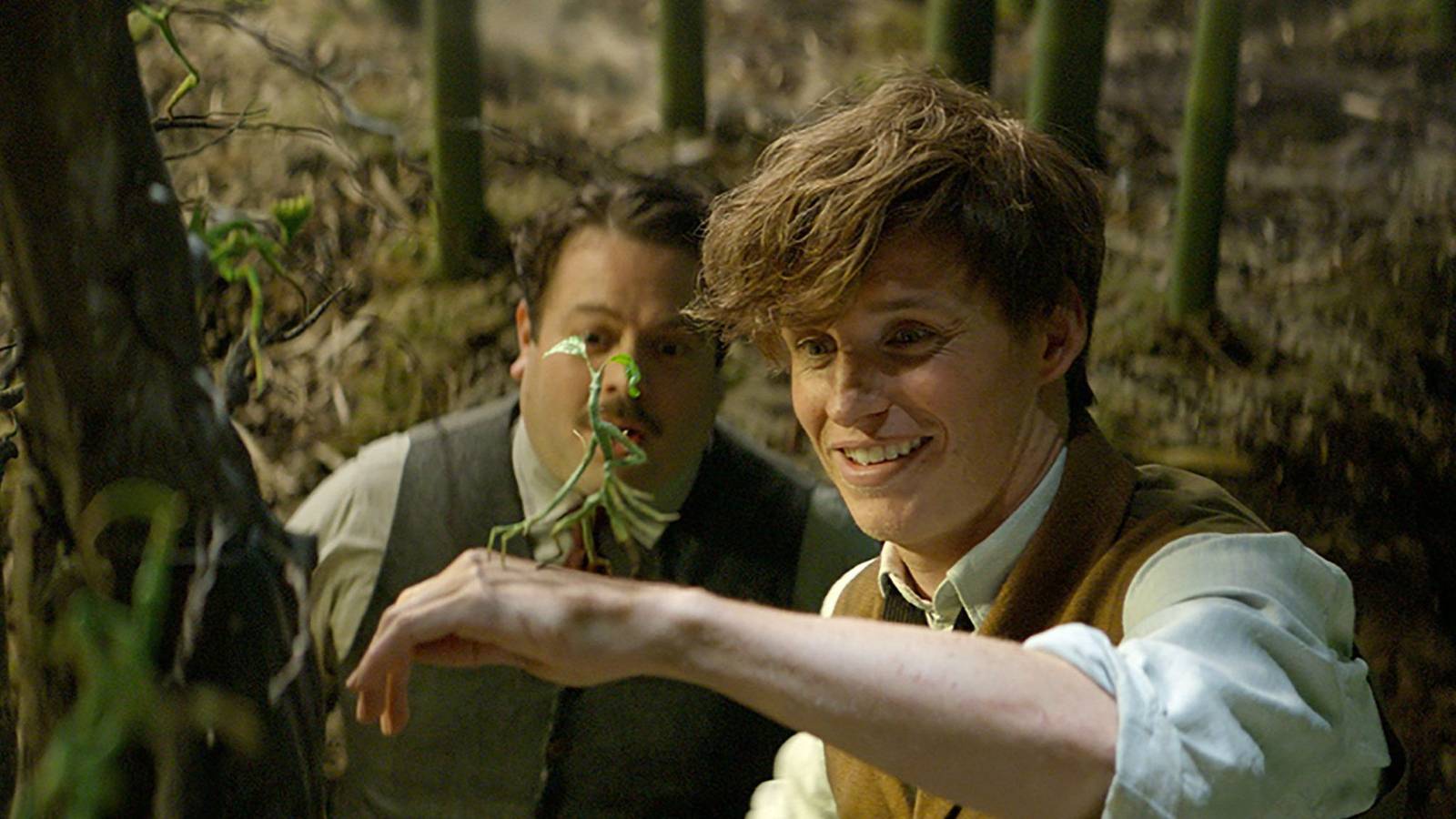 New Harry Potter Book Officially Confirmed for 2027 Release