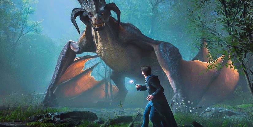 Dragon and player from Hogwarts Legacy