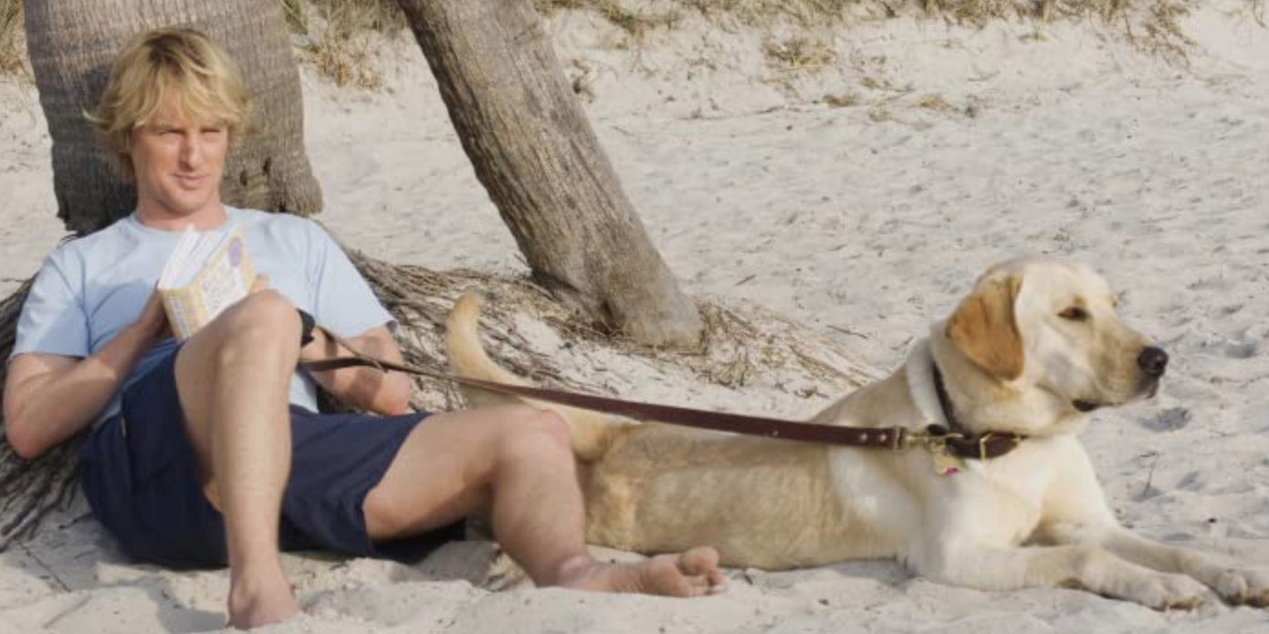 Owen Wilson and a Golden Retriver (Marley) sitting on a beach in Marley & Me
