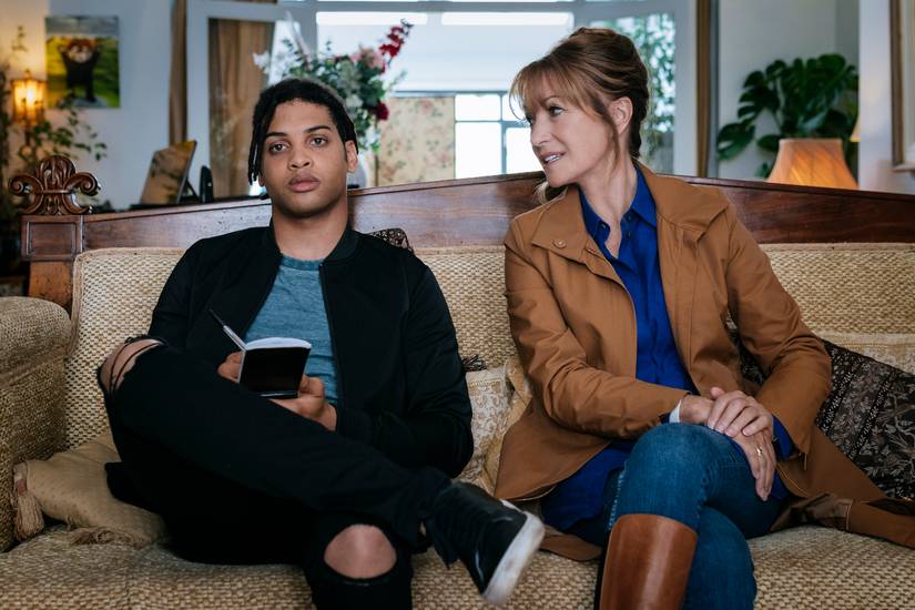 'Harry Wild' Season 4 Just Got a Huge Update