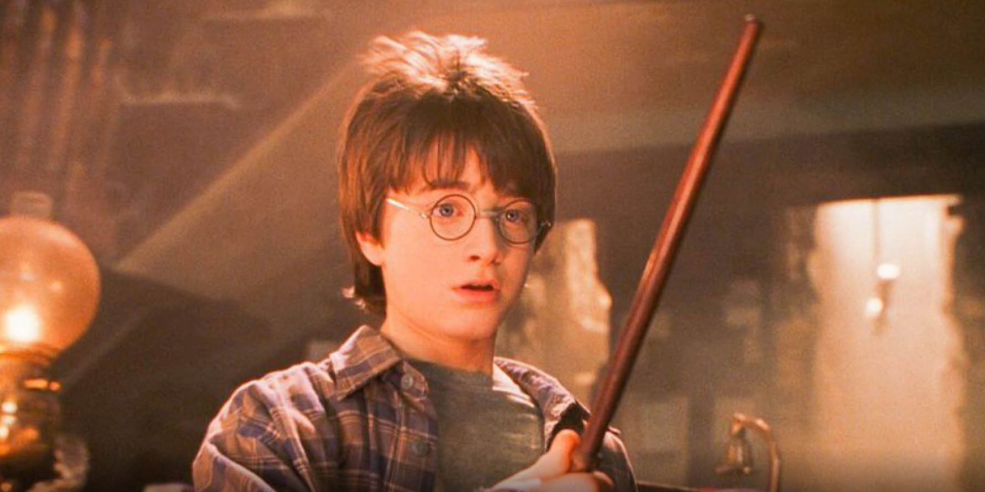 Harry Potter holds his wand for the first time