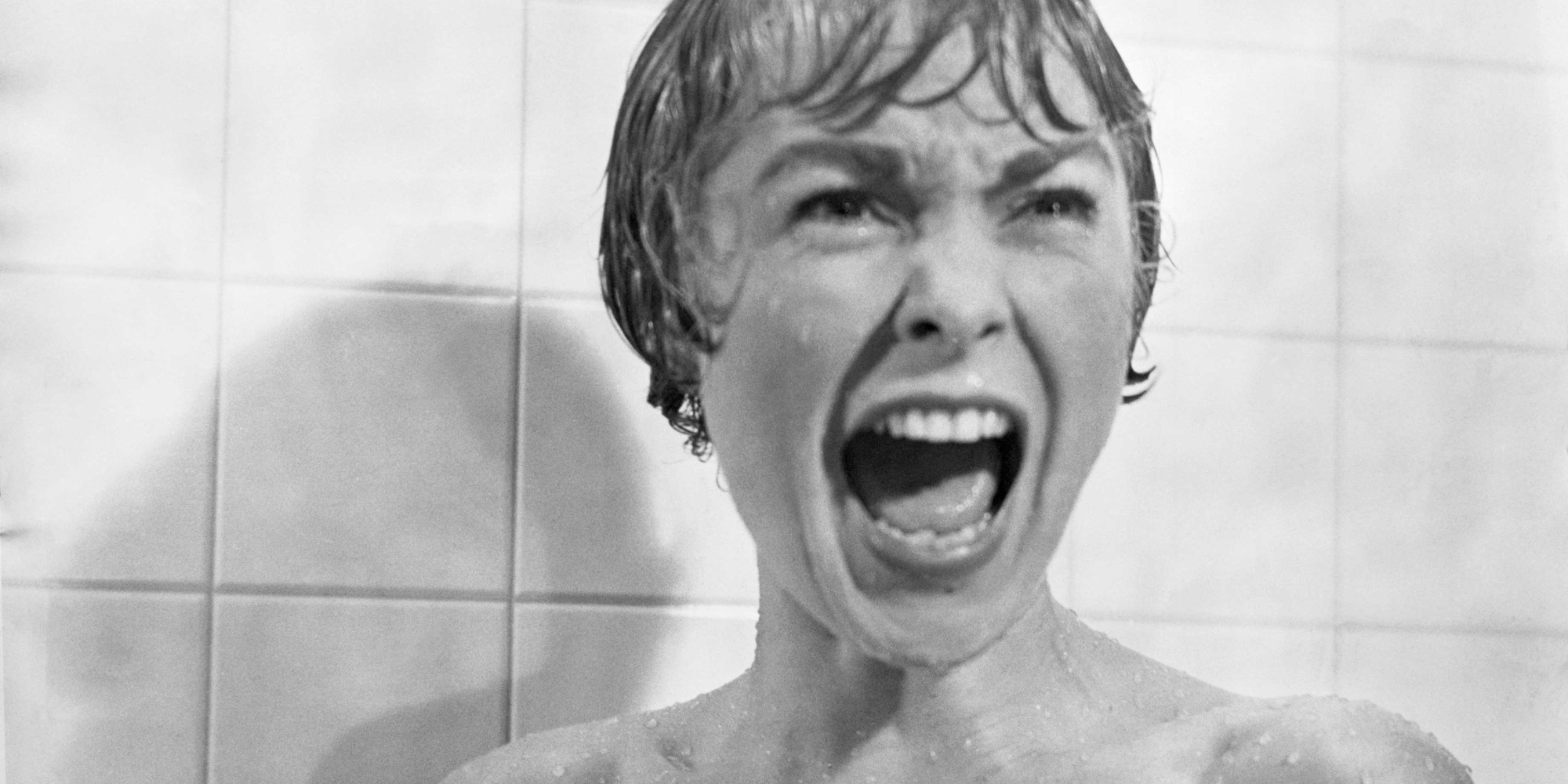 Marion Crane screaming in the shower in Psycho.