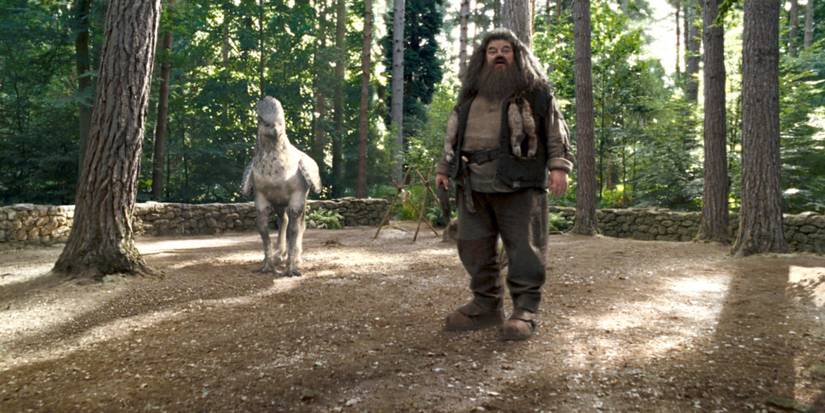 care-of-magical-creatures-hogwarts-class