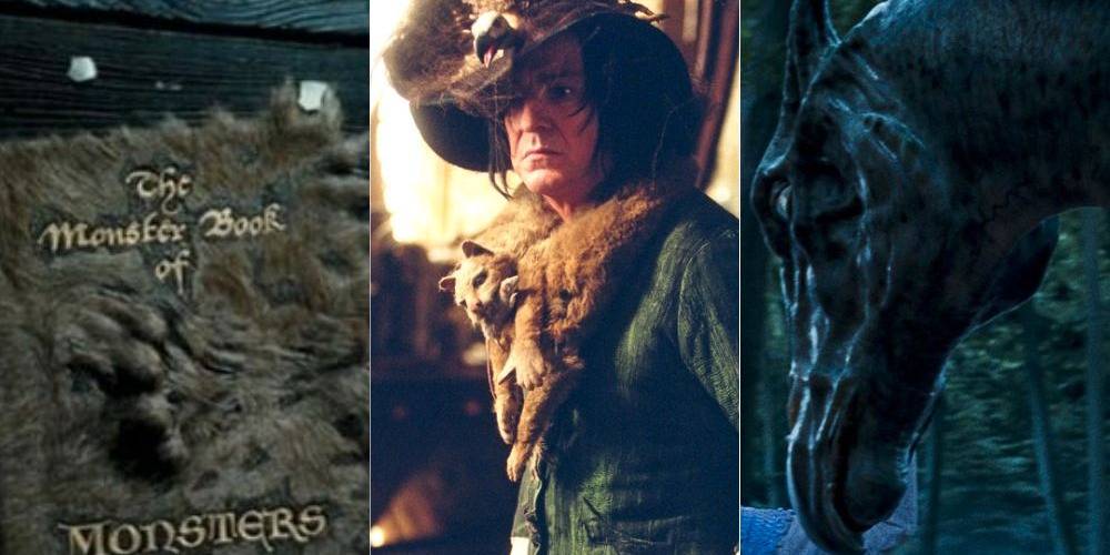 Top 5 Most Unique Magical Creatures in Harry Potter
