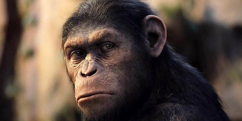 Caesar (Andy Serkis) looking angry in Rise of the Planet of the Apes.