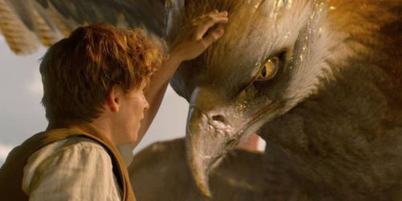 fantastic beasts thunderbirds