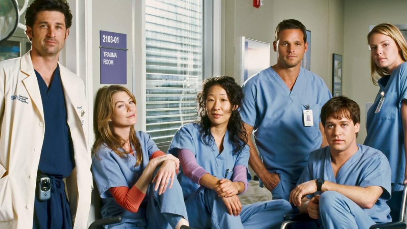 'Grey's Anatomy': All the Original Interns, Ranked