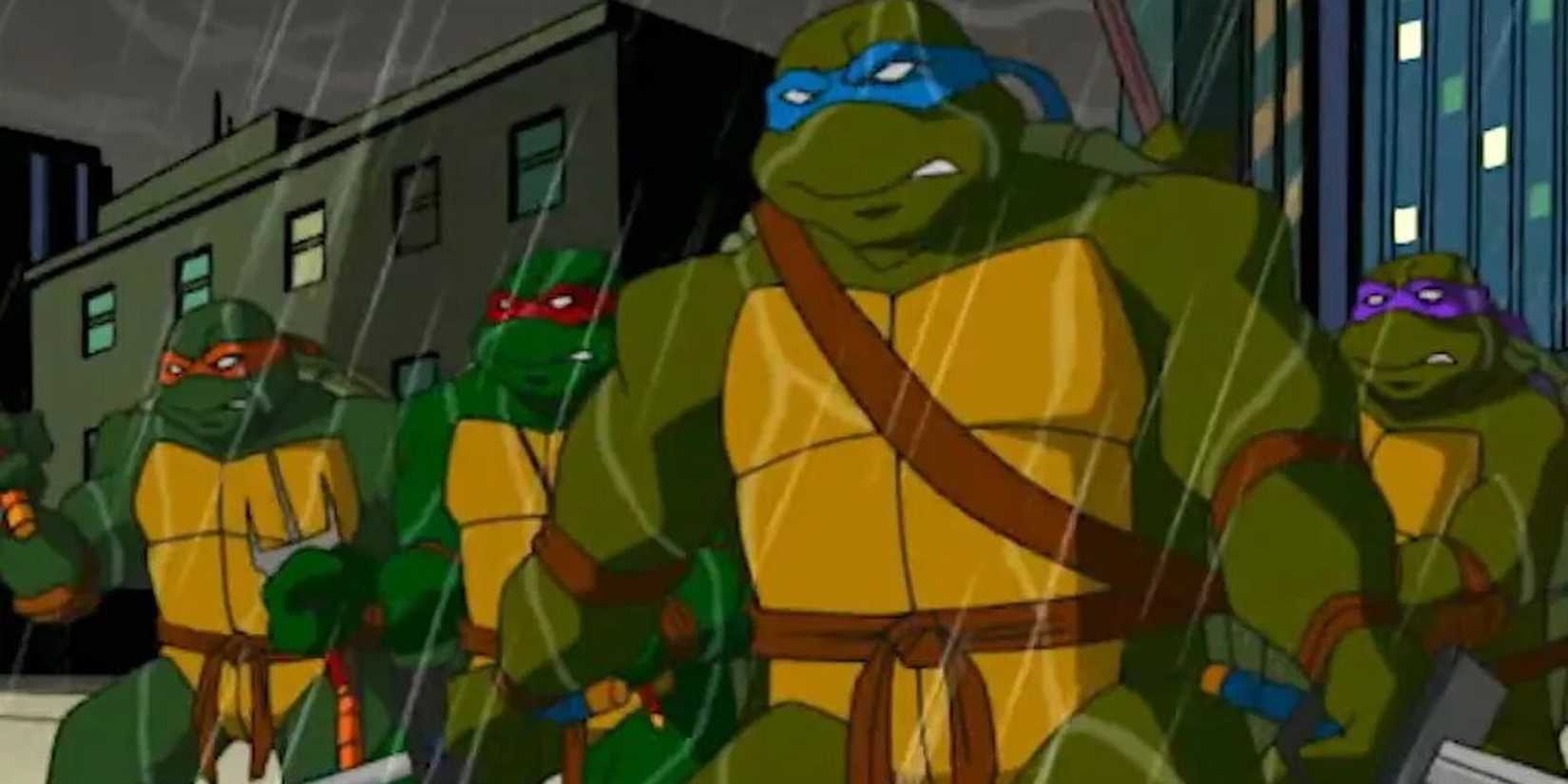 The Teenage Mutant Ninja Turtles of the 2003 cartoon.