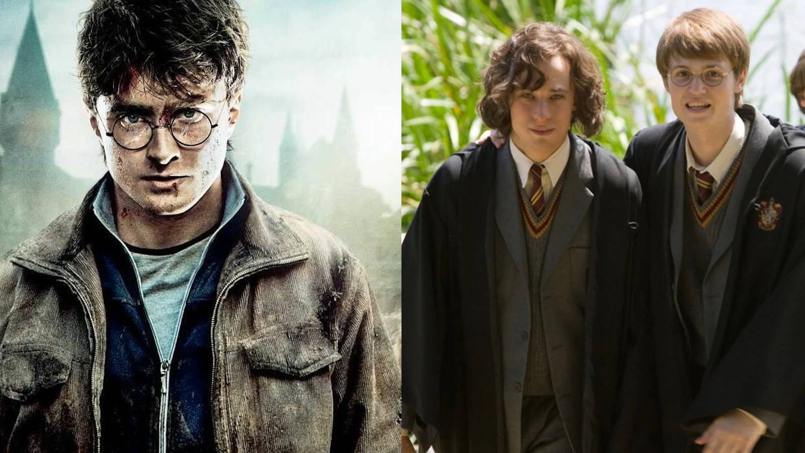 'Harry Potter': 10 Book Subplots That Were Cut From the Movies