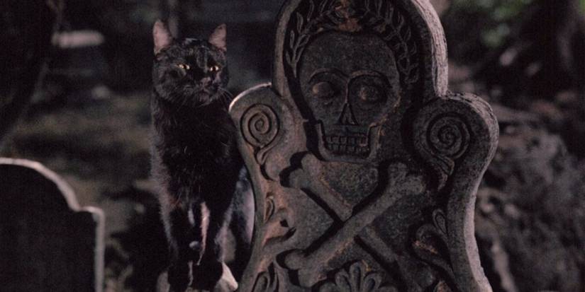 Sorry Salem, the Best Talking Cat Is Actually in This Movie