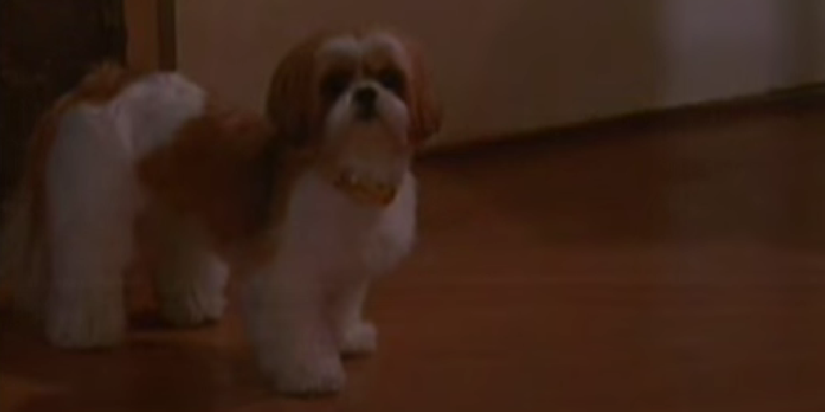 David Vickers Dog on One Life To Live
