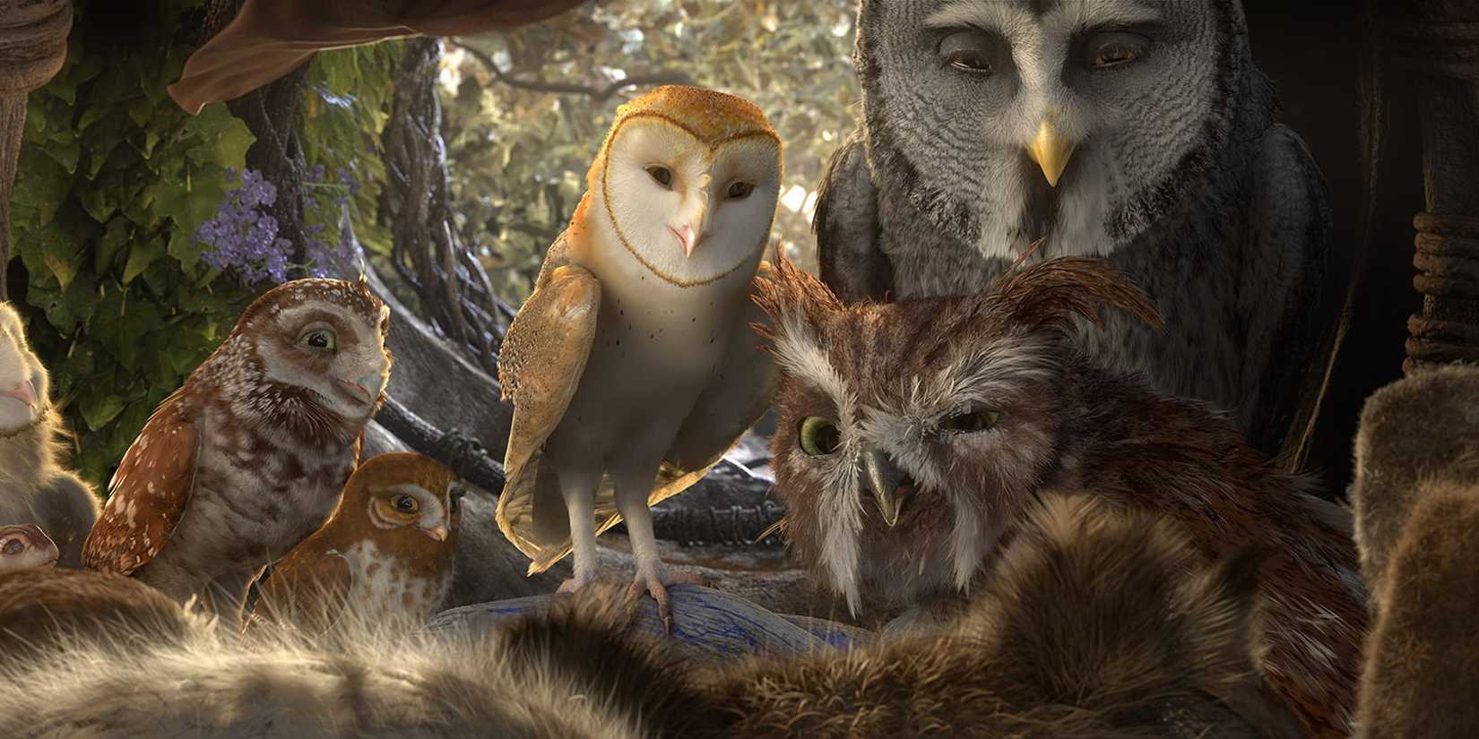 A group of owls inside a tree nest looking at the camera in Legend of the Guardians The Owls of Ga'Hoole