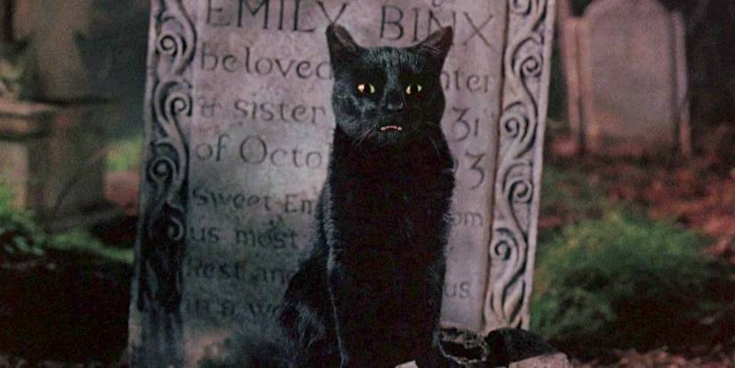 'Hocus Pocus 2': 5 Characters Who Returned For the Sequel (& 5 Who Didn't)