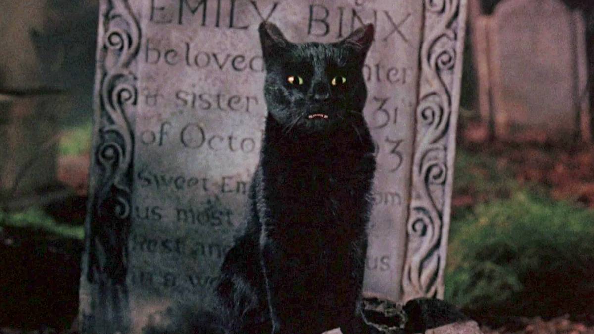 Binx From Hocus Pocus