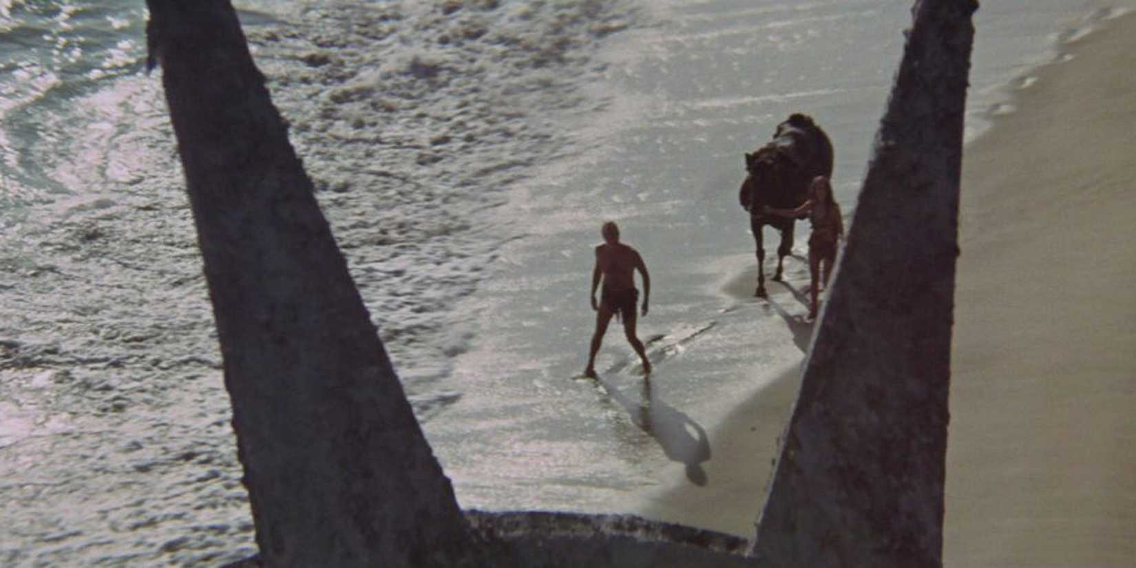Goerge Taylor in a beach looking at something in the distance in Planet of the Apes.