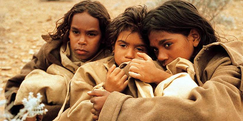 rabbit proof fence