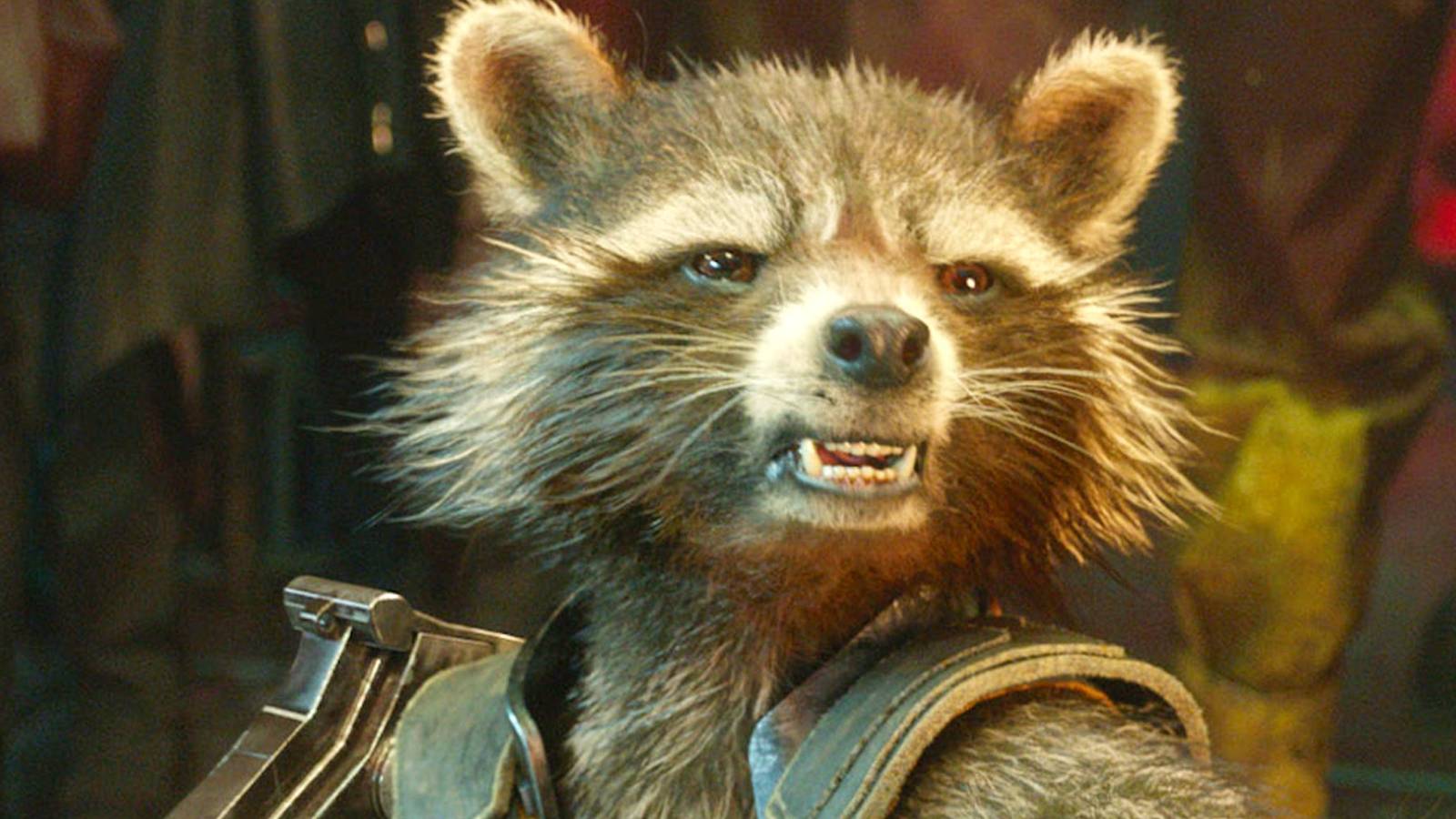 GOTG 3: James Gunn on Putting Rocket in the Spotlight