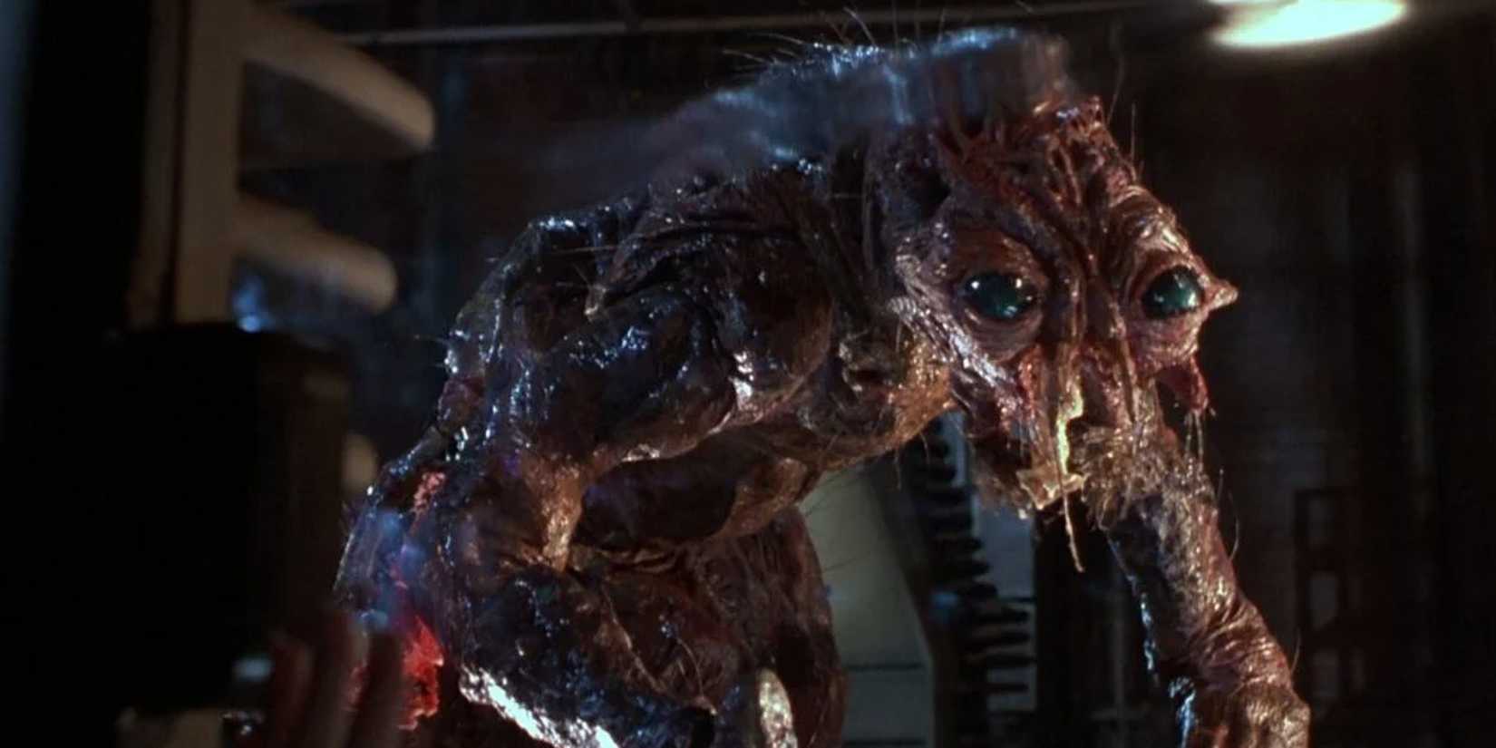 the-fly-david-cronenberg