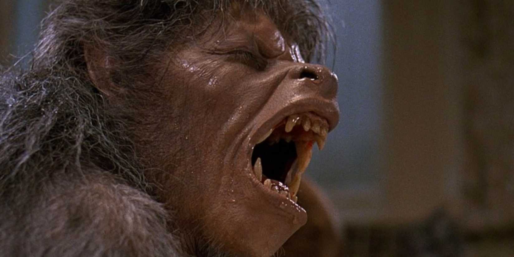 10 Best Body Horror Transformations In Movies Ranked 10-best-body-horror-transformations-in-movies-ranked