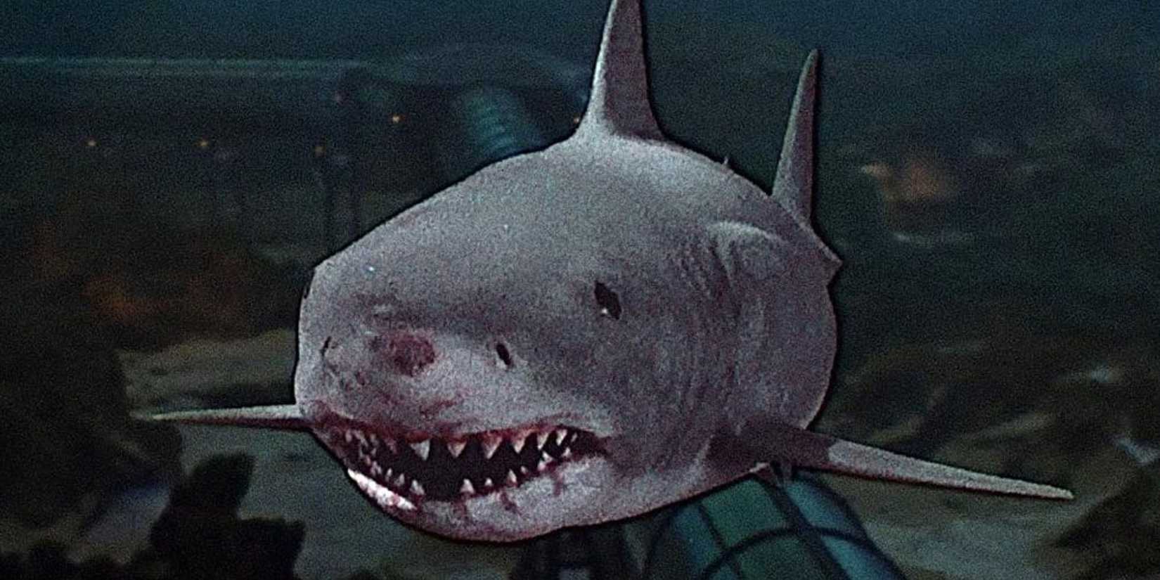 A static shark floats to the screen in 'Jaws 3D'.