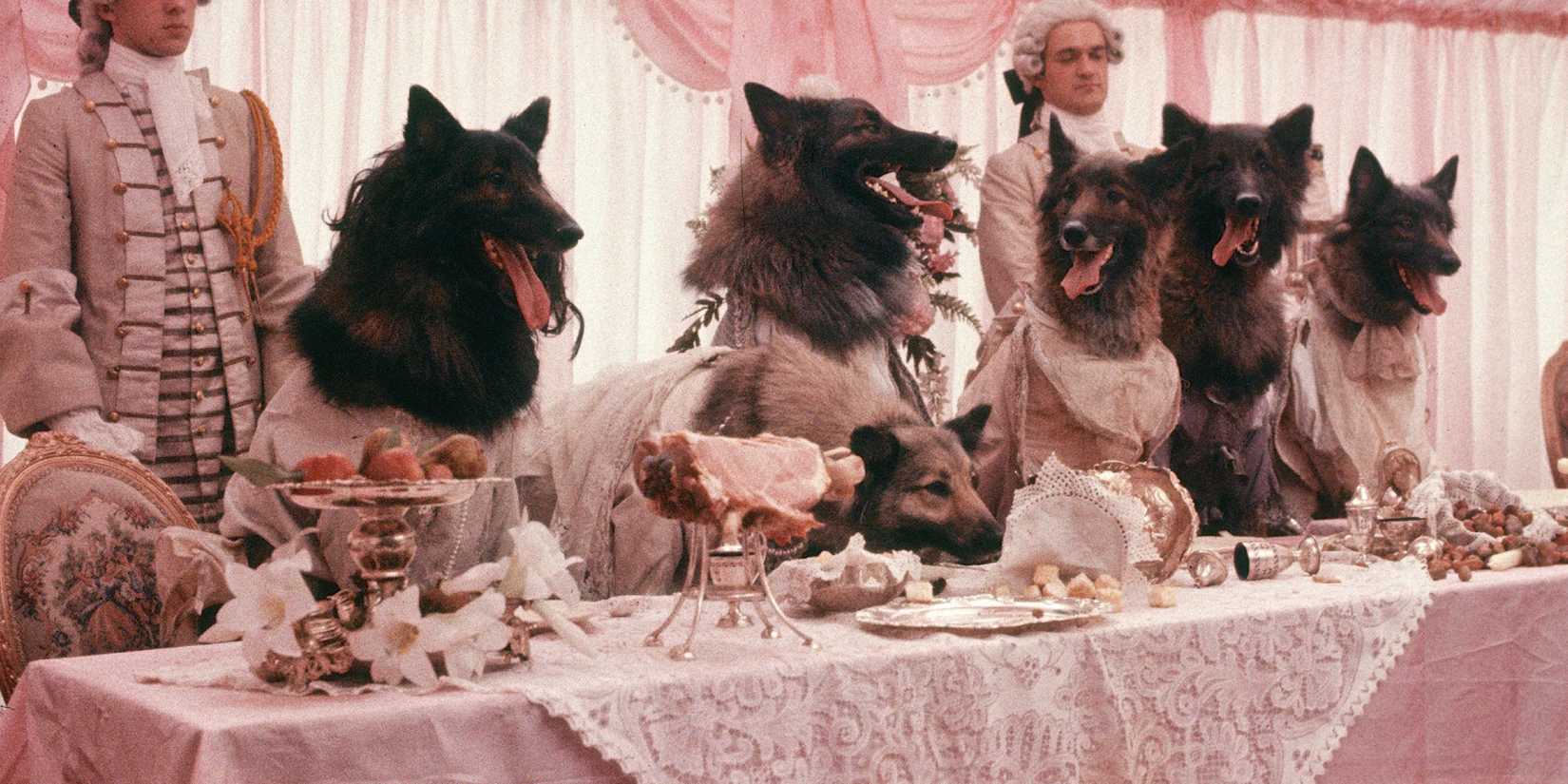 A table of aristocrats after being transformed into wolves in The Company of Wolves