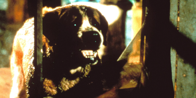 10 Best Stephen King Movies & Where To Watch Them This Halloween