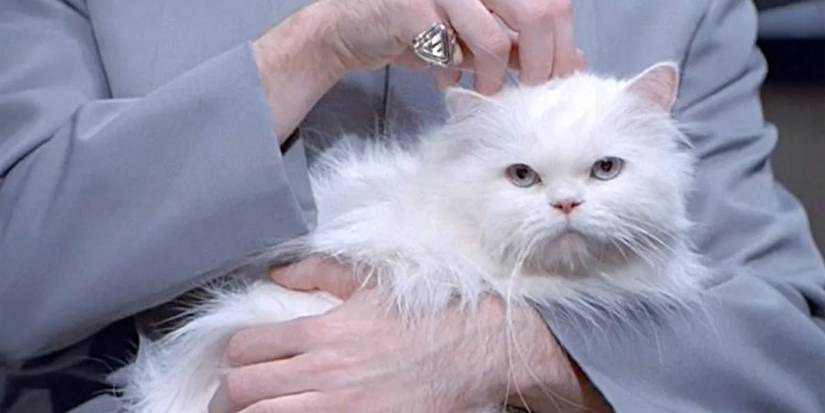 Best Cats in Movies & TV, From Salem to Snowball