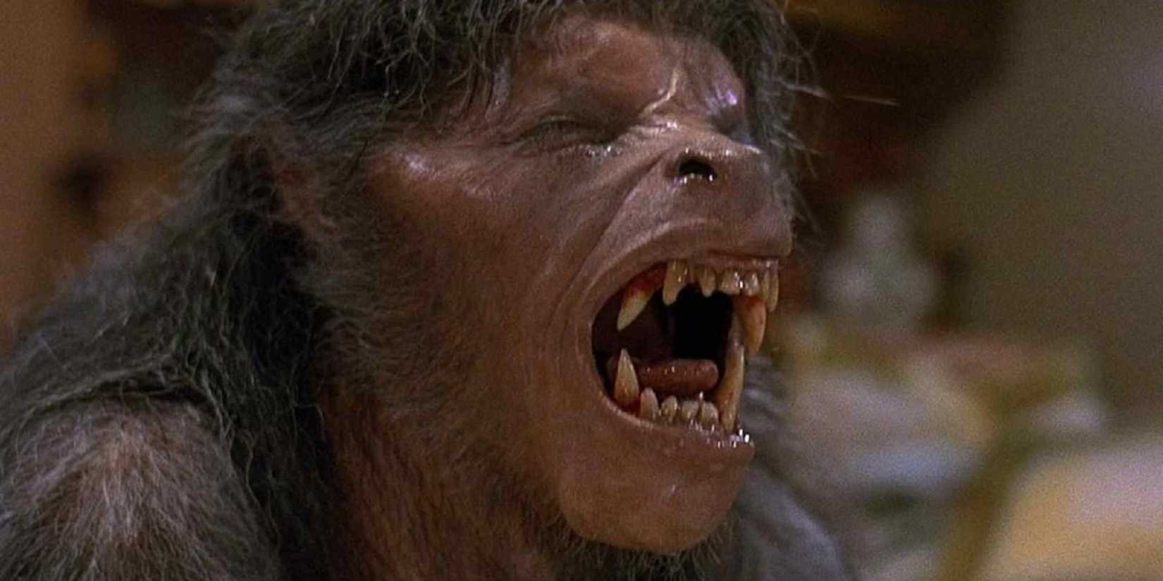 The painful werewolf transformation scene in 'An American Werewolf in London.'