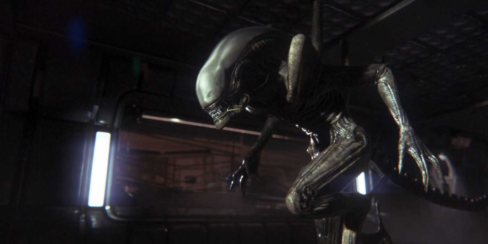 The Xenomorph searches for its next prey
